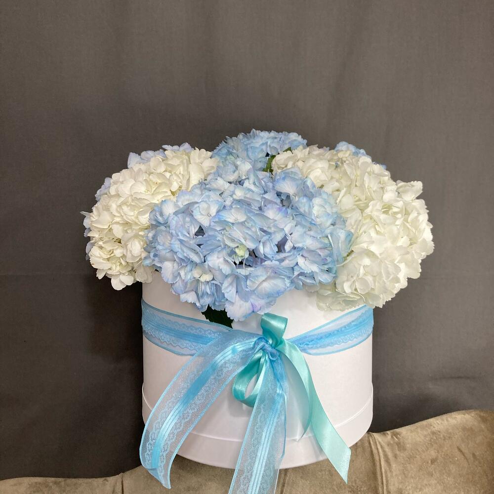 Hydrangea Hatbox