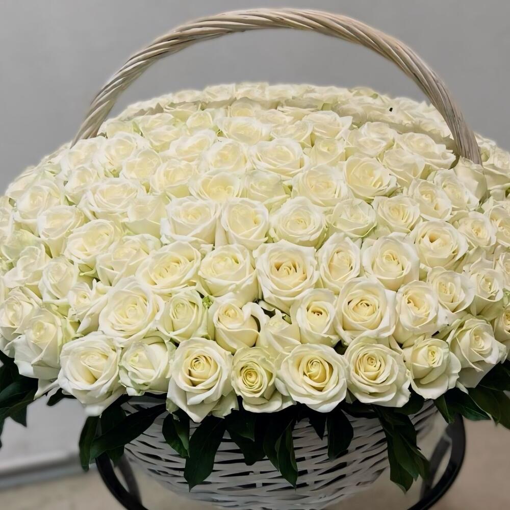 101 White Roses Basket
