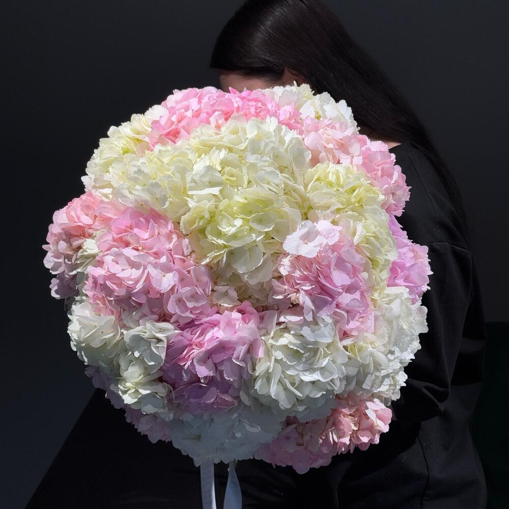 Blushing Hydrangea Elegance