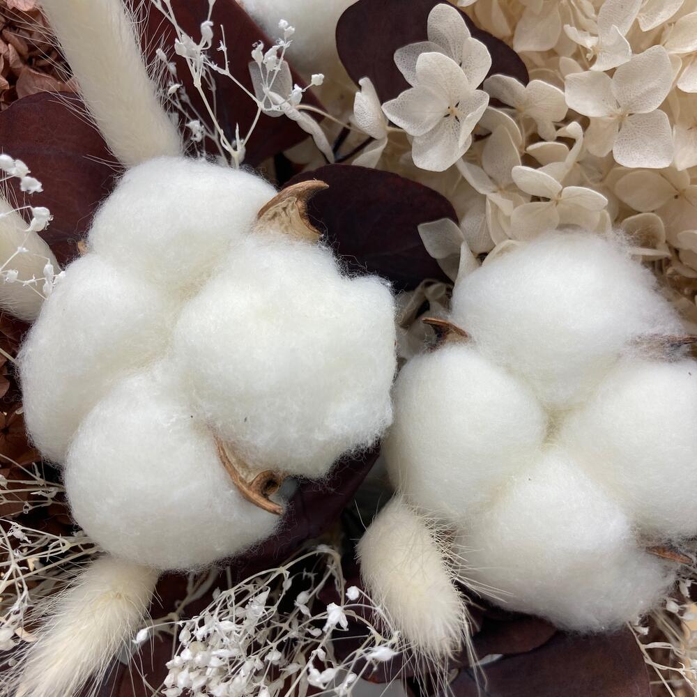 Cotton & Dried Flower Arrangement