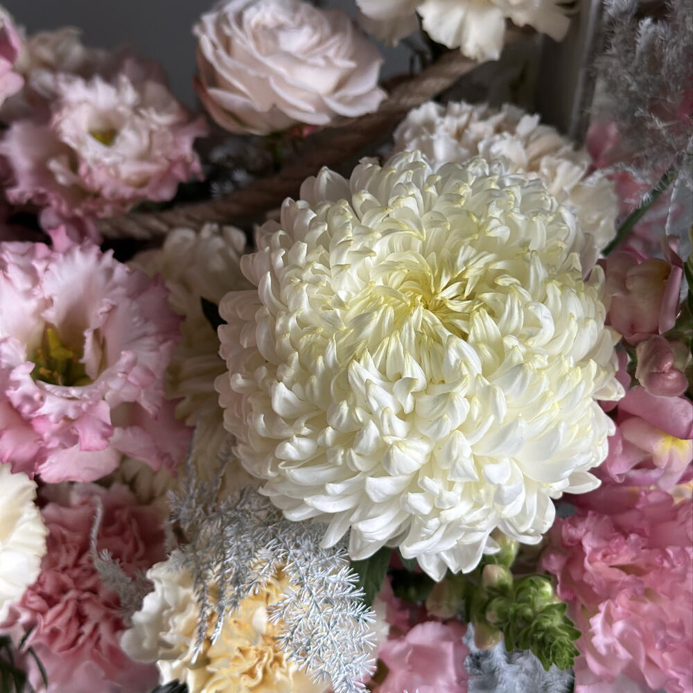 French Rose & Carnation Box