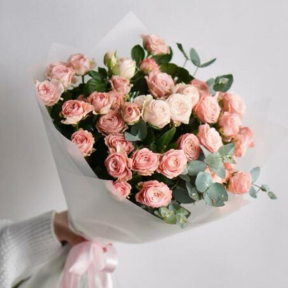 Minimal & Elegant Collection