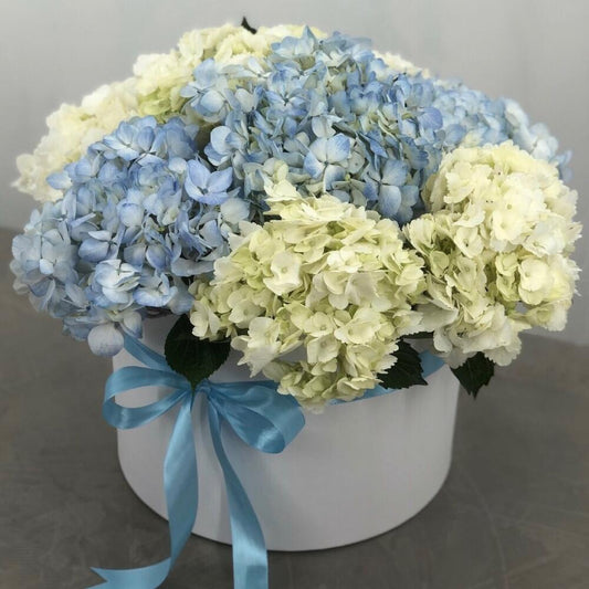 Hydrangea Hatbox
