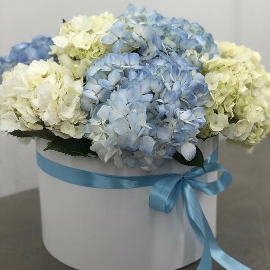 Hydrangea Hatbox