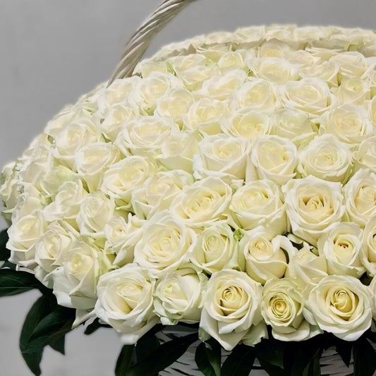 101 White Roses Basket