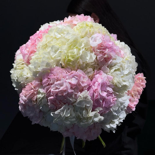 Blushing Hydrangea Elegance