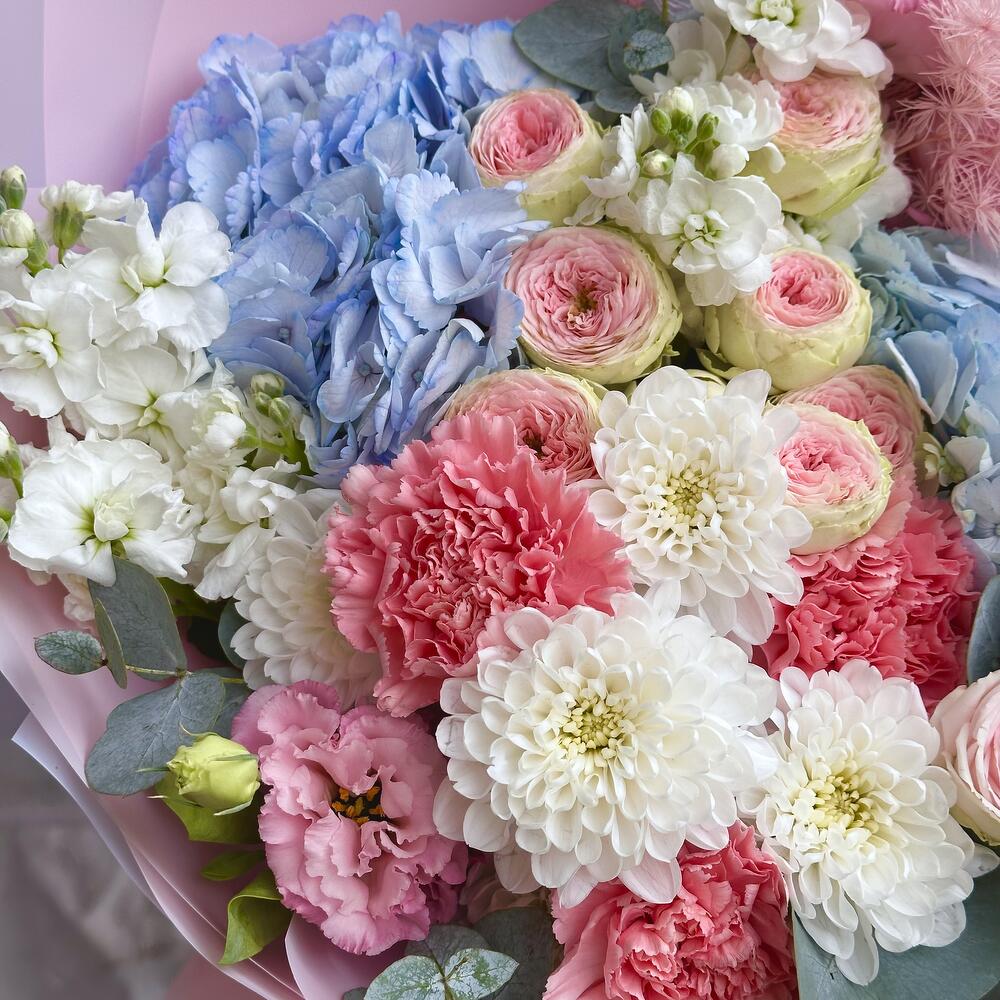 Pastel Serenity