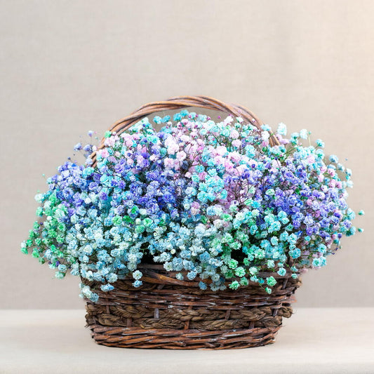 Mini Gypsophila Basket
