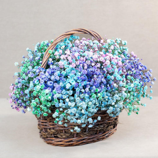 Mini Gypsophila Basket
